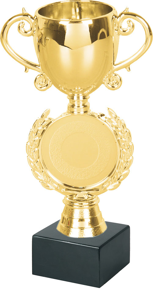 ФП Кубок 13138/G+BMX5030 15.5см