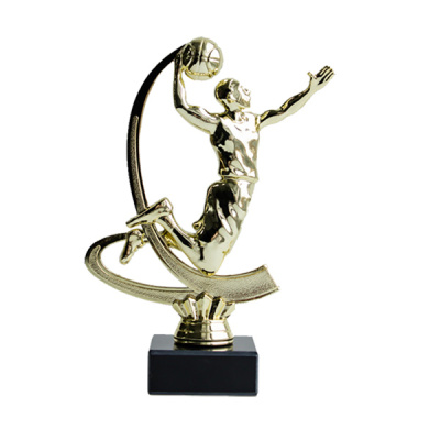 ФП Баскетбол F227/G (B192/G)+BMX5020 16,5см