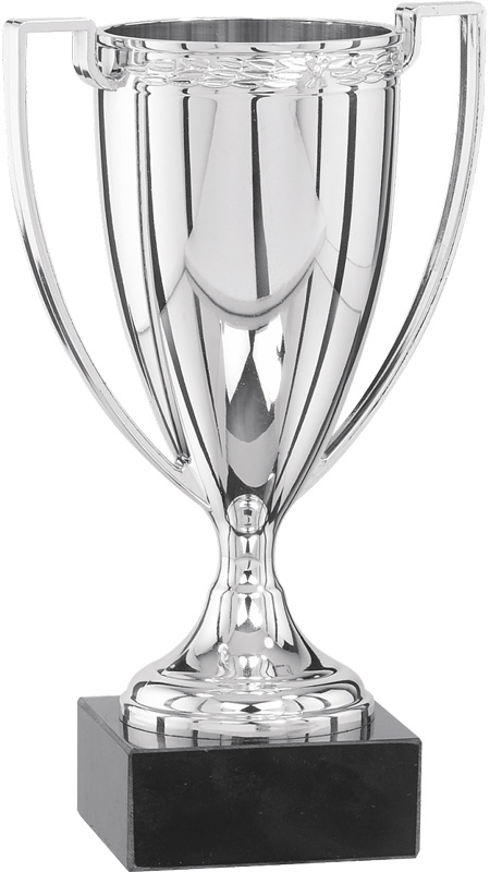 Кубок 9025/S (20см)