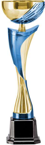 Кубок 4120C (39см) D-120