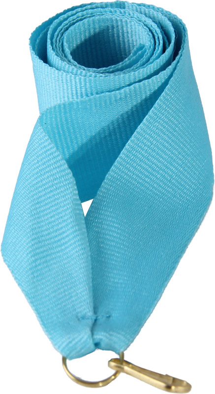 Лента (шир.11 мм)  V8-LBL