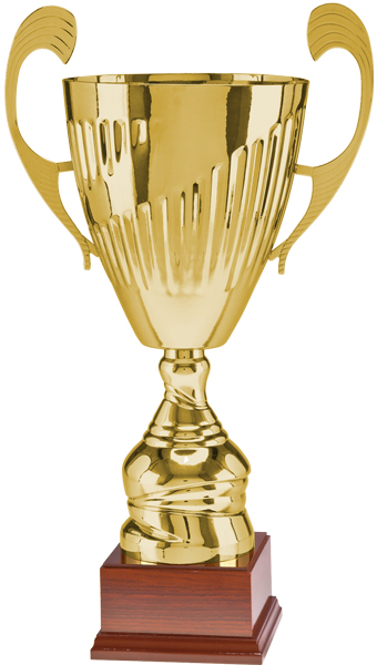 Кубок 3081-N/D (43 см) D-160