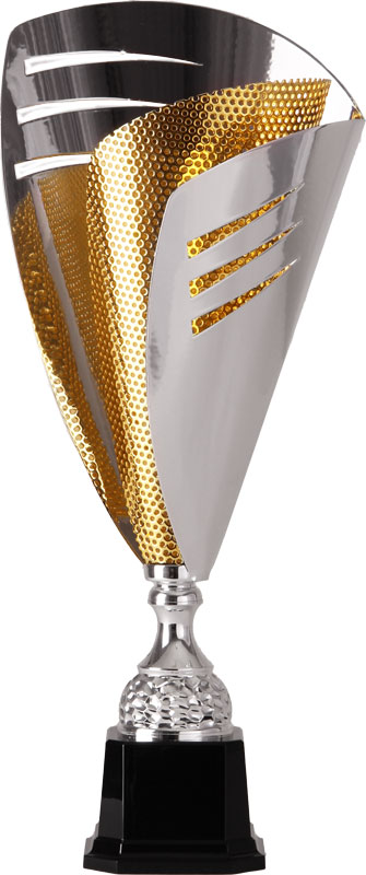 Кубок 2002D (47 см)