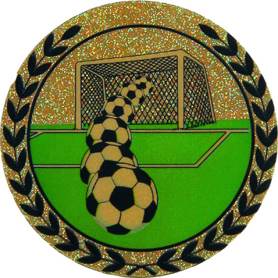 Голограмма Футбол д.50 AGM213