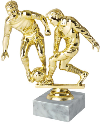 ФП Футбол 12065/G+WM6320