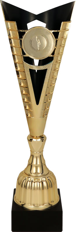 Кубок 7193C (36см)