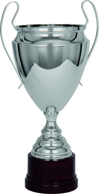 Кубок 2020E (45см) D-160