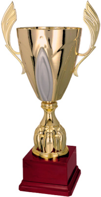 Кубок 3102-N/E (40 см) D-140