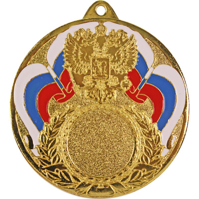 Медаль MK294/G (70/25) s-2мм