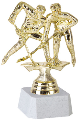 ФП Хоккей 8051-1+WP763-2