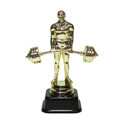 ФП Тяжелая атлетика (14,7см) 8363-1+МРЧ6220