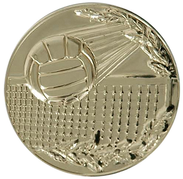 Жетон Волейбол (д.25) В16