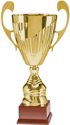 Кубок 3081-N/D (43 см) D-160