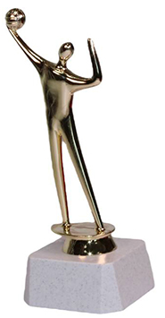 ФП Волейбол 15 см RSP372-VOL/G+WP763-2