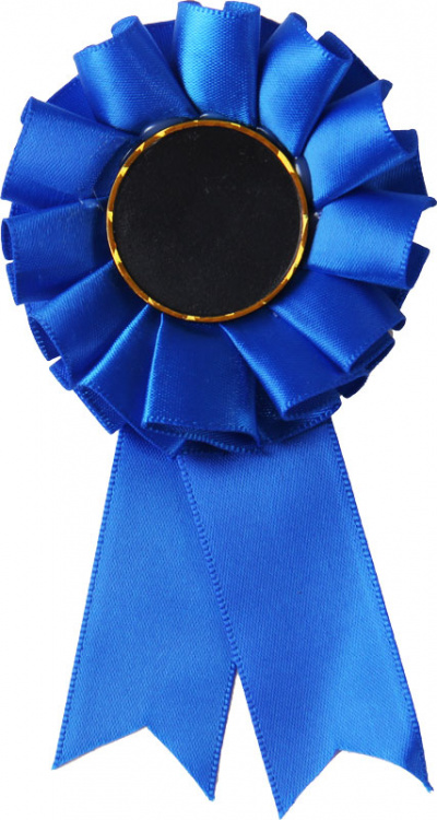 Розетка наградная MFC/BL(12cm)