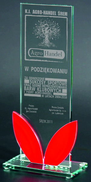  81511 Награда ст.170*80 (6)