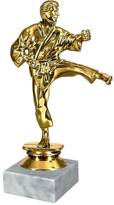 ФП Каратэ 8060-1+WP763-2