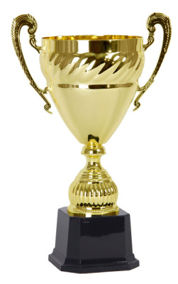 Кубок 3533D (30 см) D-120