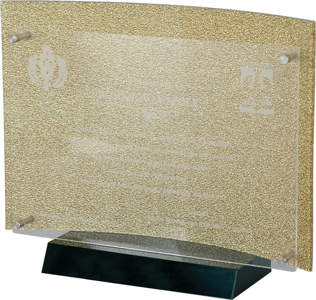 Диплом эксклюзвный (210х340) AY32-25