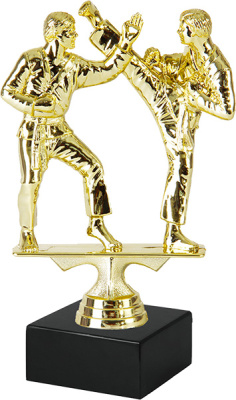 ФП Каратэ  8023-1+BMX6530  15,9см