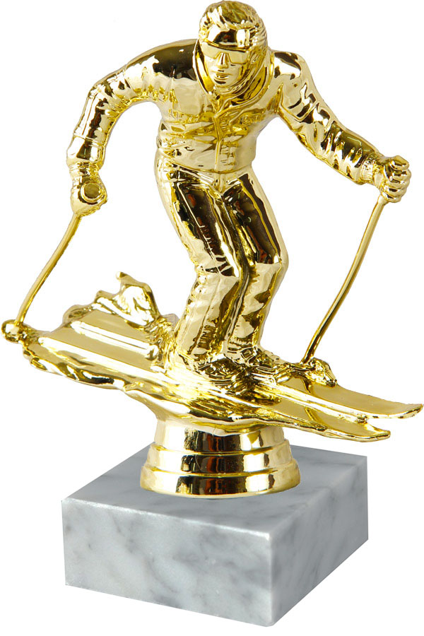 ФП Лыжи 8647-1+WM5030