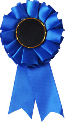 Розетка наградная MFC/BL(12cm)