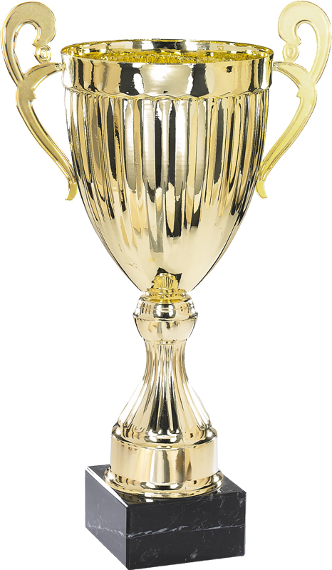 Кубок 3001B (42см) D-180