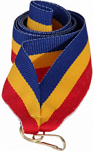 Лента (шир.22 мм) V2-BL/Y/RD Ростовская область