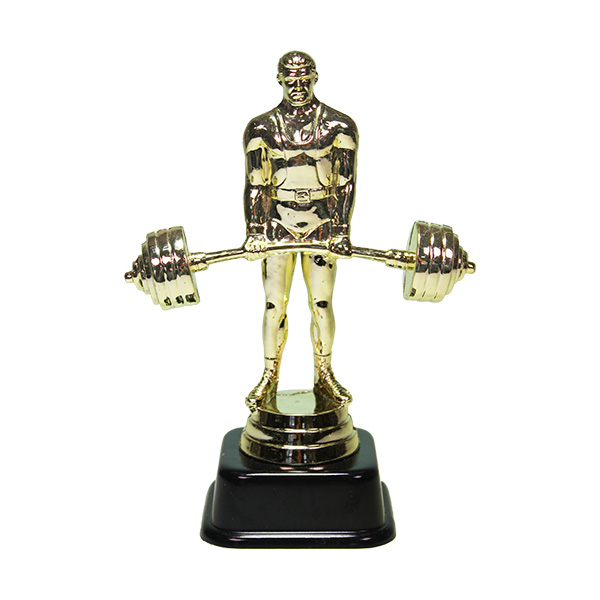 ФП Тяжелая атлетика (14,7см) 8363-1+МРЧ6220