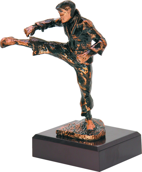 Фигурка литая Каратэ R5061-5-21 20.5cм