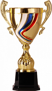 Кубок 2004B Триколор (51 см) D-200