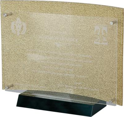 Диплом эксклюзвный (210х340) AY32-25