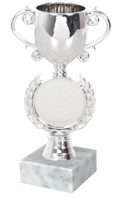 ФП Кубок 13138/S+WM5030 15.5см