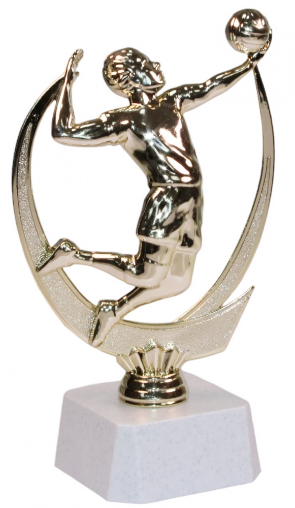 ФП Волейбол 18см F225/G+WP763-2