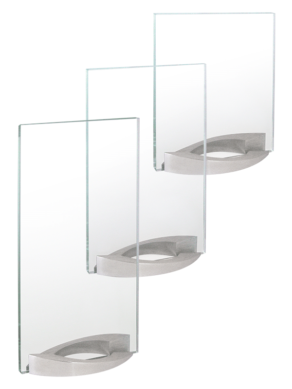 Награда стеклянная арт.5683С (255*135*10мм)