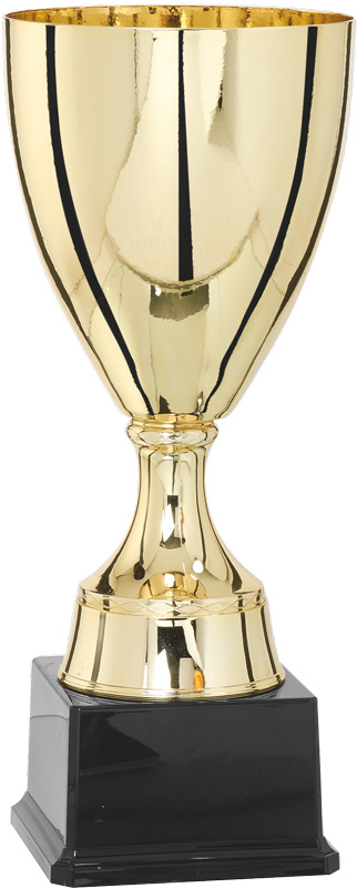 Кубок 4002A (36см) D-160