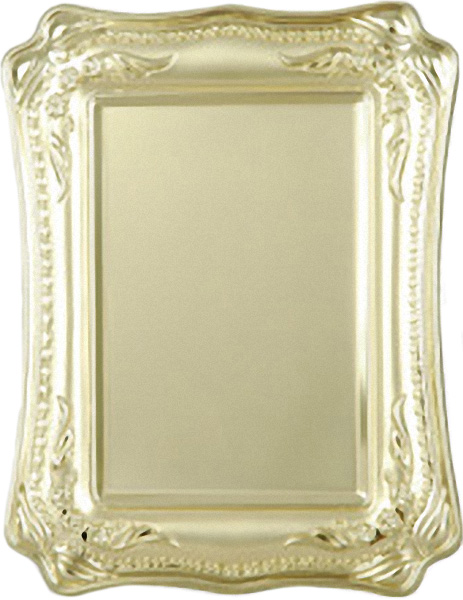 Накладка для гравирования 210х260 663/G