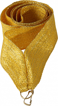 Лента (шир.10 мм) V8-GOL