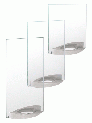 Награда стеклянная арт.5683С (255*135*10мм)