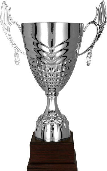 Кубок 3122A (53.5 см) D-200