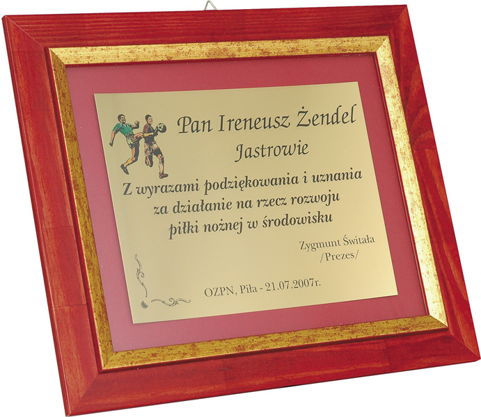 Диплом футляром в комплекте 150х335мм 332/С/G