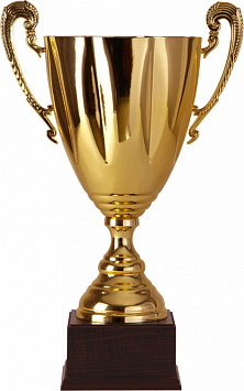 Кубок 2510C (52 см) D-220