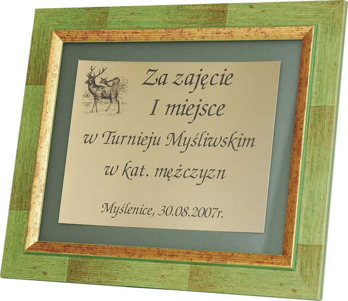Дипом с футляром в комплекте 150х335мм 552/C/G