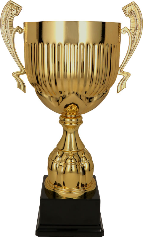 Кубок 2069A (59,5см) D-260