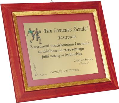 Диплом футляром в комплекте 150х335мм 332/С/G