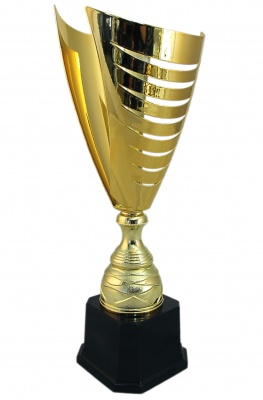 Кубок 2014D (41см)