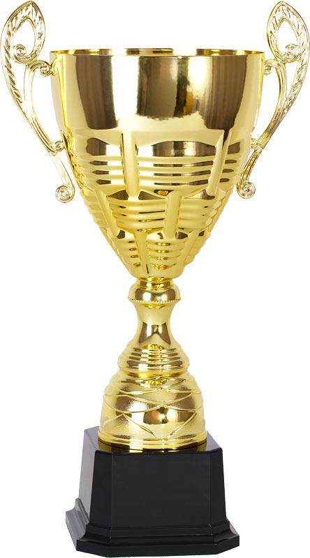 Кубок 1520C (51 см) D-200