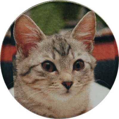 Жетон цветной Кошки (д350) C15