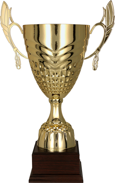 Кубок 3121E (34 см) D-120